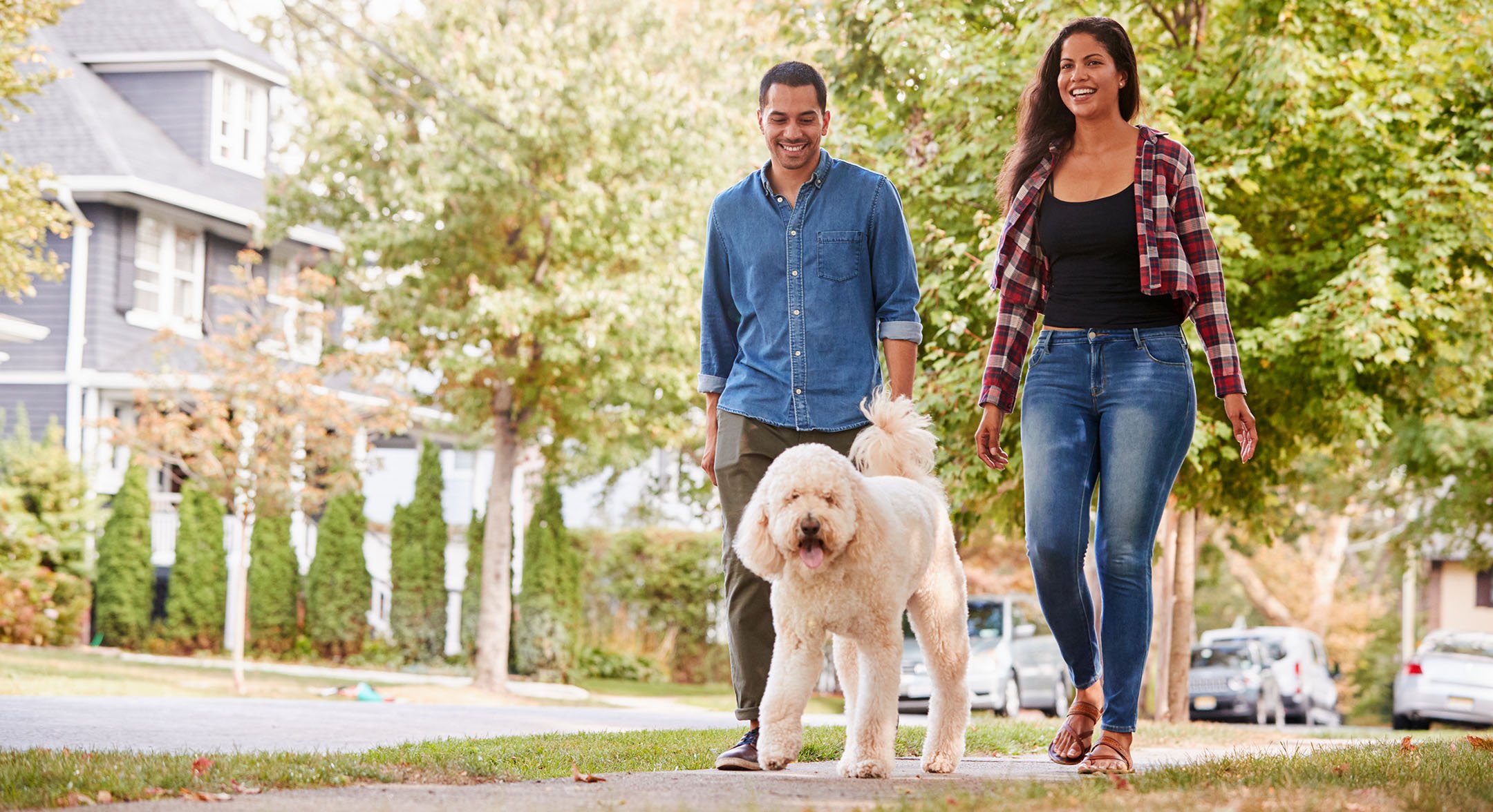 couple walking their dog down the street